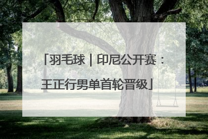 羽毛球｜印尼公开赛：王正行男单首轮晋级
