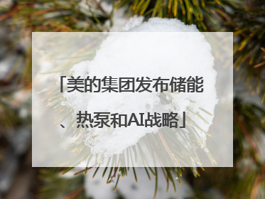 美的集团发布储能、热泵和AI战略