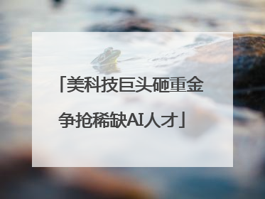 美科技巨头砸重金争抢稀缺AI人才
