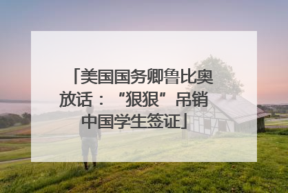 美国国务卿鲁比奥放话：“狠狠”吊销中国学生签证