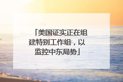 美国证实正在组建特别工作组，以监控中东局势