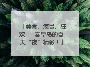 美食、海景、狂欢……秦皇岛的夏天“夜”精彩！