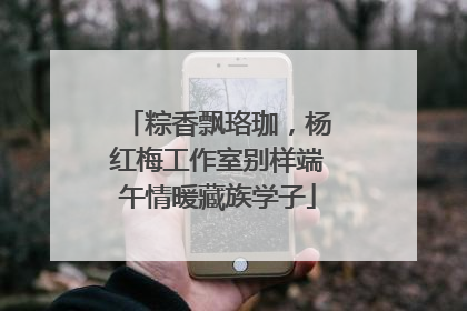 粽香飘珞珈，杨红梅工作室别样端午情暖藏族学子