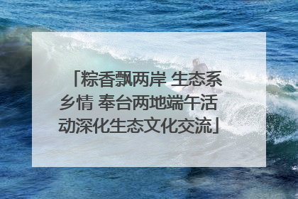 粽香飘两岸 生态系乡情 奉台两地端午活动深化生态文化交流
