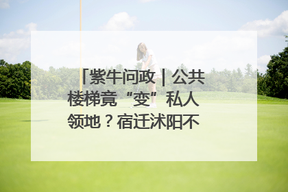 紫牛问政｜公共楼梯竟“变”私人领地？宿迁沭阳不动产登记引质疑