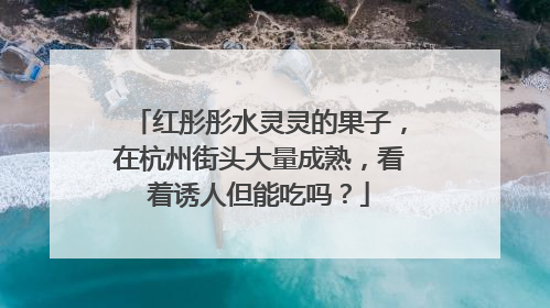 红彤彤水灵灵的果子，在杭州街头大量成熟，看着诱人但能吃吗？