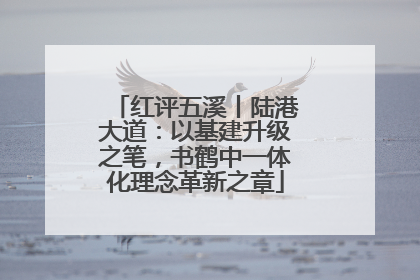 红评五溪丨陆港大道：以基建升级之笔，书鹤中一体化理念革新之章