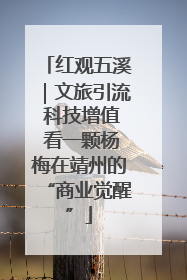 红观五溪｜文旅引流 科技增值 看一颗杨梅在靖州的“商业觉醒”