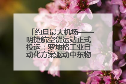 约旦最大机场——明捷航空货运站正式投运：罗地格工业自动化方案驱动中东物流未来新航向