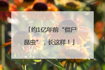 约1亿年前“僵尸昆虫”，长这样！