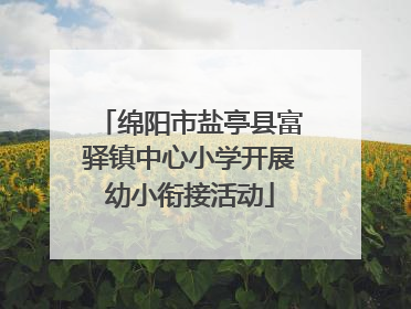 绵阳市盐亭县富驿镇中心小学开展幼小衔接活动