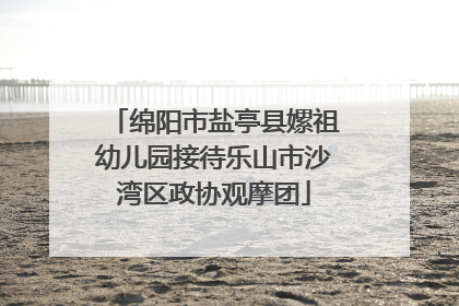 绵阳市盐亭县嫘祖幼儿园接待乐山市沙湾区政协观摩团