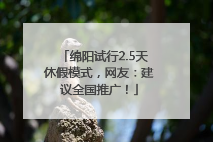 绵阳试行2.5天休假模式，网友：建议全国推广！