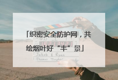 织密安全防护网，共绘烟叶好“丰”景