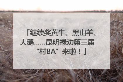 继续奖黄牛、黑山羊、大鹅……昆明禄劝第三届“村BA”来啦！