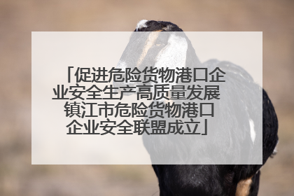 促进危险货物港口企业安全生产高质量发展 镇江市危险货物港口企业安全联盟成立