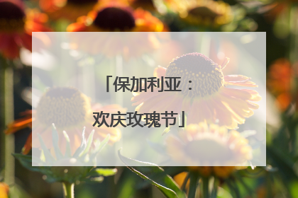 保加利亚：欢庆玫瑰节