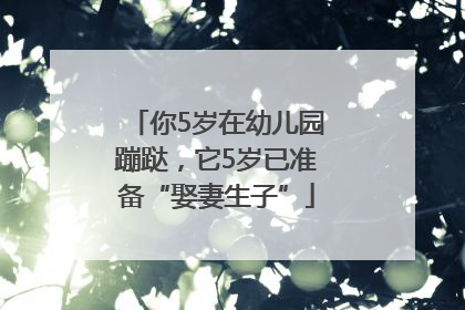 你5岁在幼儿园蹦跶，它5岁已准备“娶妻生子”