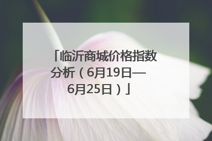 临沂商城价格指数分析（6月19日—6月25日）