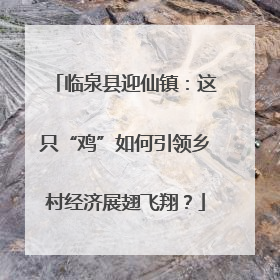 临泉县迎仙镇：这只“鸡”如何引领乡村经济展翅飞翔？
