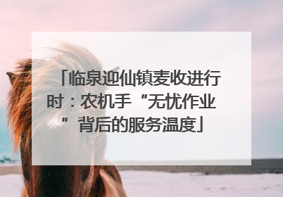 临泉迎仙镇麦收进行时：农机手“无忧作业”背后的服务温度