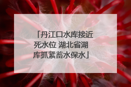 丹江口水库接近死水位 湖北省湖库抓紧蓄水保水