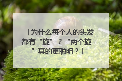 为什么每个人的头发都有“旋”？“两个旋”真的更聪明？