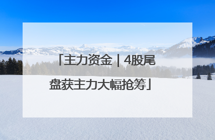 主力资金｜4股尾盘获主力大幅抢筹