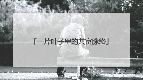 一片叶子里的共富脉络