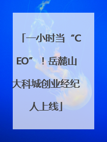 一小时当“CEO”！岳麓山大科城创业经纪人上线