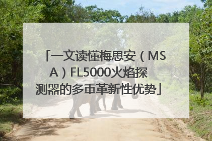 一文读懂梅思安（MSA）FL5000火焰探测器的多重革新性优势