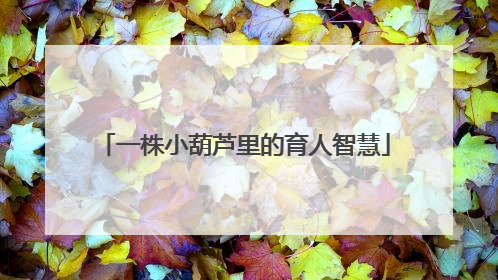 一株小葫芦里的育人智慧