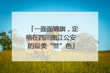 一面面锦旗，定格在四川南江公安的最美“警”色