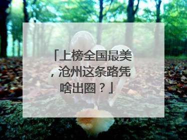 上榜全国最美，沧州这条路凭啥出圈？