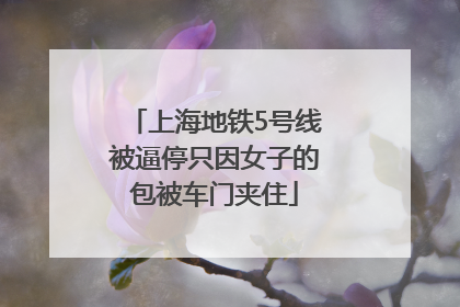 上海地铁5号线被逼停只因女子的包被车门夹住
