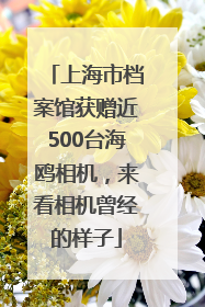 上海市档案馆获赠近500台海鸥相机，来看相机曾经的样子