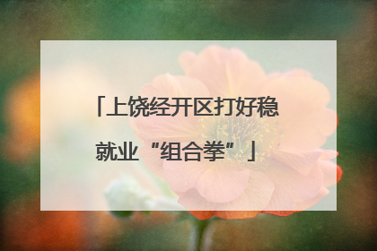 上饶经开区打好稳就业“组合拳”
