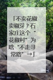 不卖花椒卖椒芽？石家庄这个“花椒村”为啥“不走寻常路”→