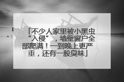 不少人家里被小黑虫“入侵”，墙壁窗户全部爬满！一到晚上更严重，还有一股臭味