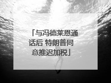 与冯德莱恩通话后 特朗普同意推迟加税