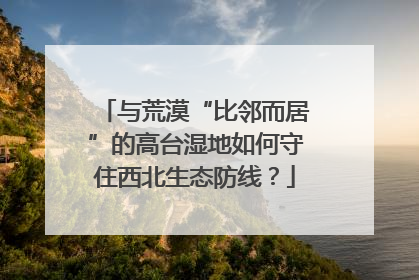 与荒漠“比邻而居”的高台湿地如何守住西北生态防线？