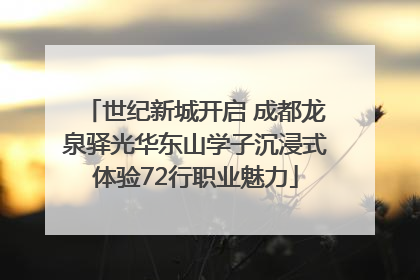 世纪新城开启 成都龙泉驿光华东山学子沉浸式体验72行职业魅力