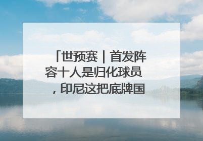 世预赛｜首发阵容十人是归化球员，印尼这把底牌国足如何应对？