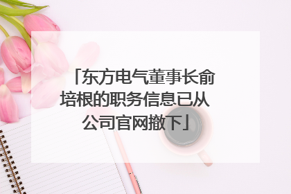 东方电气董事长俞培根的职务信息已从公司官网撤下