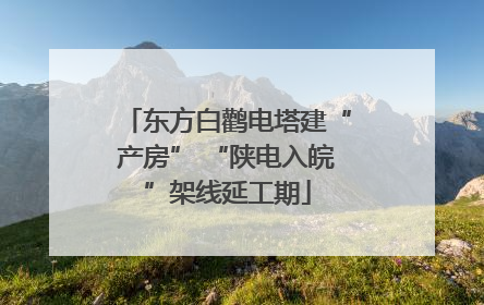 东方白鹳电塔建“产房” “陕电入皖”架线延工期
