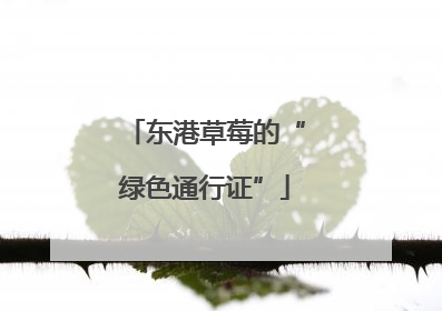 东港草莓的“绿色通行证”