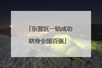 东营区一镇成功跻身全国百强