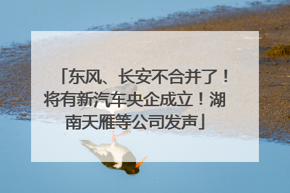 东风、长安不合并了！将有新汽车央企成立！湖南天雁等公司发声