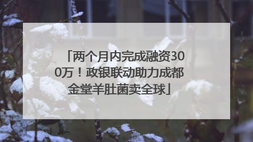 两个月内完成融资300万！政银联动助力成都金堂羊肚菌卖全球
