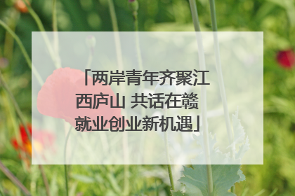 两岸青年齐聚江西庐山 共话在赣就业创业新机遇